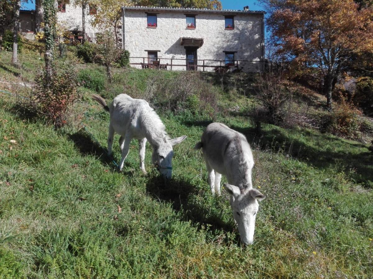 I Casali Del Buontempo Villa Buggiano Luaran gambar